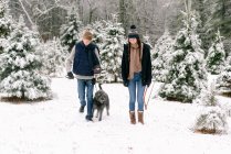 Giovane donna, giovane uomo e il loro cane con albero di Natale fattoria — Foto stock