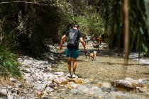 Homme descendant la rivière avec chien en forêt — Photo de stock