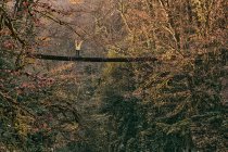 Jovem mulher em ponte suspensa na floresta de outono — Fotografia de Stock