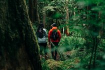 A young couple enjoys a hike on a trail in the Pacific Northwest. — Stock Photo
