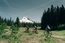 Tres mujeres en bicicleta en un sendero cerca de Mt. Capucha en Oregon. - foto de stock