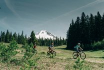 Tres mujeres en bicicleta en un sendero cerca de Mt. Capucha en Oregon. - foto de stock
