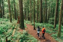 Una joven pareja disfruta de una caminata en un bosque en el noroeste del Pacífico - foto de stock