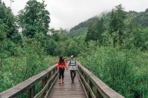 Молодая пара наслаждается прогулкой в лесу на северо-западе Тихого океана — стоковое фото