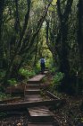 Giovane donna che percorre un sentiero di legno nella foresta pluviale fino al Monte Taranaki, Nuova Zelanda — Foto stock