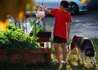 Una ragazza sta innaffiando le sue verdure fatte in casa nel cortile — Foto stock