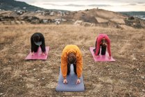 Frauengruppe praktiziert Pilates auf dem Land — Stockfoto