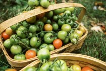 Fresh tomatoes in  wicker baskets on background — Stock Photo
