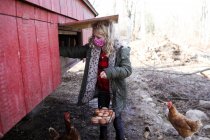 Ragazza che indossa maschera raccogliendo uova dal pollaio fuori in autunno — Foto stock