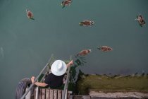 Person sitting at the edge of a dock feeding ducks — Stock Photo