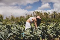 Weibliche Yogi-Rückbiegungen in einem Gemüsefeld — Stockfoto