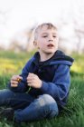 Молодий хлопчик сидить на полі трави і кульбаби . — стокове фото