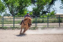 Tween girl running her horse in an arena — Stock Photo