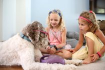Two girls playing with large brown and white dog on floor at home — Stock Photo