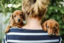 Woman with puppys standing outdoor — Stock Photo