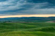 Paesaggio naturale panoramico con verdi colline ondulate — Foto stock