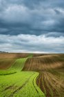 Campi agricoli coltivati e dolci colline nella Repubblica Ceca — Foto stock