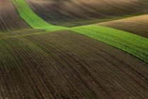 Campo agrícola cultivado y colinas onduladas en la República Checa - foto de stock