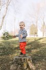 Pequeno menino criança feliz de pé no toco da árvore fora no quintal — Fotografia de Stock