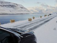 Carro na estrada da montanha junto ao lago — Fotografia de Stock