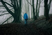 Hombre caminando a través de un oscuro bosque inglés en invierno con sus hijos - foto de stock