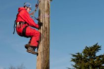 Mann klettert bei Hochseilgarten-Übung auf Holzstange — Stockfoto