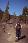 Caminante pasea con dos perros chihuhua a través de las colinas volcánicas del desierto seco - foto de stock