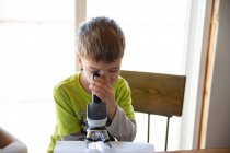 Head on view of little boy looking at bug under microscope — Stock Photo