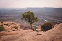 Grand Canyon Nationalpark, utah, Vereinigte Staaten — Stockfoto