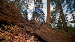 Mann mit Mountainbike im Wald — Stockfoto