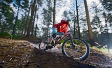 Mann mit Mountainbike im Wald — Stockfoto