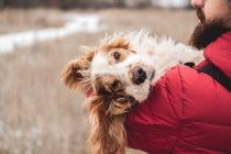 Portrait of a cute dog chilling in the hands of a man, winter outdoors scene. Man holds his pet outdoors, concept of taking care and active lifestyle with pets — Stock Photo