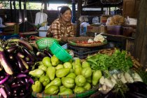 Portrait of smiling female street market vendor, Hsipaw, Hsipaw — Stock Photo