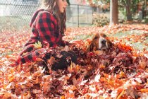 Teen girl sits in leaf pile with basset hound dog on fall day in yard — Stock Photo