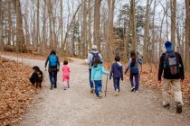 Eine Familienwanderung mit Hund auf einem Schotterweg durch den Wald — Stockfoto