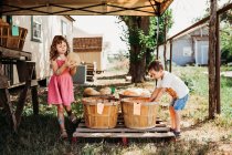 Crianças bonitos vendendo melões — Fotografia de Stock