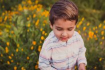 Милый маленький мальчик в поле — стоковое фото