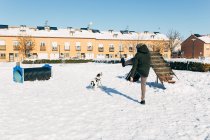 Человек тренирует свою собаку в снегу и играет с мячом — стоковое фото