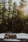 Car in the forest — Stock Photo