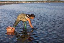 Молода жінка збирає устриці, морепродукти — стокове фото