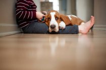 Cute boy with dog at home — Stock Photo