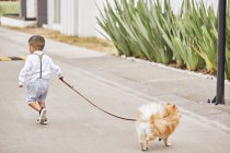 Вид ззаду маленький хлопчик, що йде на вулиці зі своїм собакою — стокове фото