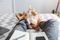 Trabajar desde casa, la vida doméstica con el perro - foto de stock