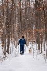 Ragazzo adolescente ciaspolata con cane nei boschi in una giornata invernale innevata. — Foto stock