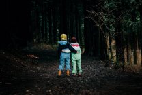 Hermanos abrazándose unos a otros caminando por el bosque hablando - foto de stock