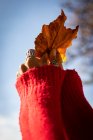Una mujer sosteniendo una hoja en la sesión de otoño con anillos en las manos. - foto de stock
