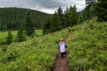 Escursioni di una ragazza su un sentiero in montagna, Colorado — Foto stock
