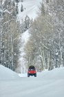 Winterlandschaft mit schneebedeckten Bäumen — Stockfoto