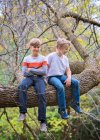 Dos jóvenes sentados en una rama de árbol en el bosque. - foto de stock