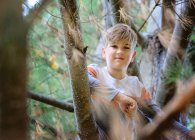 Happy young blond boy sitting in a pine tree. — Stock Photo